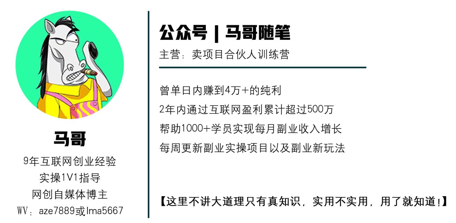 图片[1]-2024年上半年收入已突破200万，我是怎么做到的?看完你就明白了！-想要创业网