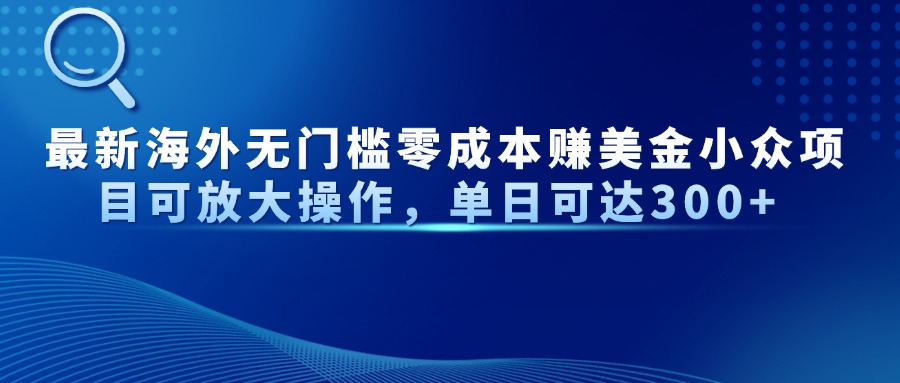 最新海外无门槛美金小众项目可放大操作，单日可达300+-想要创业网