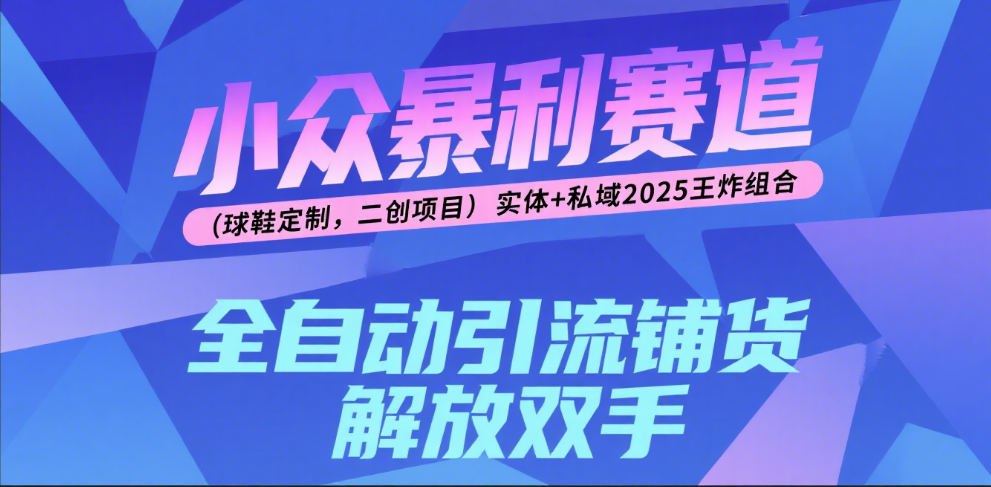 楠—小众暴利赛道（球鞋定制，二创项目）实体+私域2025王炸组合-想要创业网