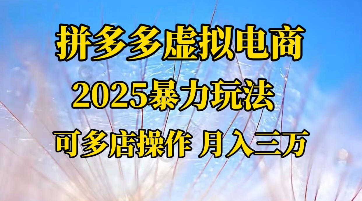 拼多多虚拟电商,不囤货不垫资的虚拟电商-想要创业网