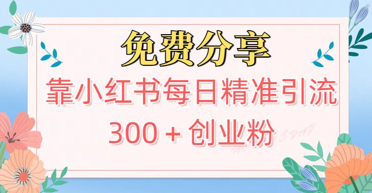 2025最新引流！靠小红书每日精准引流300＋创业粉-想要创业网