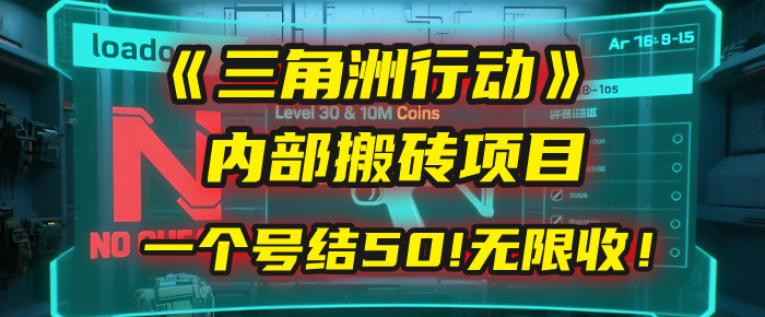 《三角洲行动》内部搬砖项目：打一个号，结50块，无限收！-想要创业网