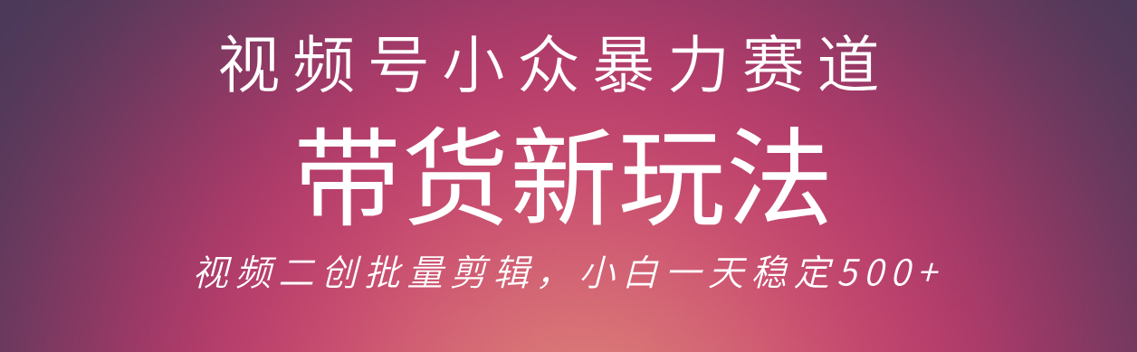视频号小众暴力赛道，最新带货玩法 小白也能轻松日入500+ 保姆及教程-想要创业网