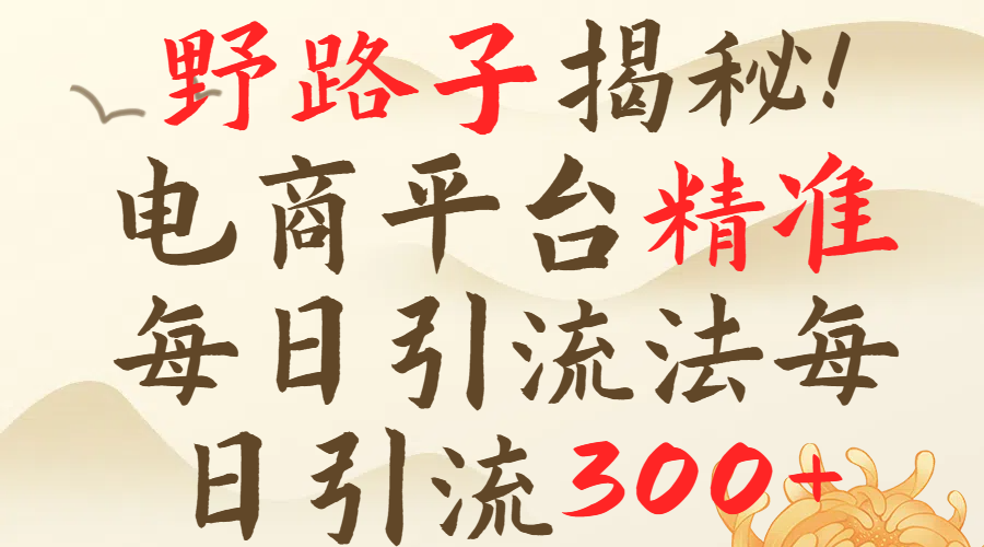 野路子揭秘！电商平台每日引流300＋独家揭秘详细流程！-想要创业网