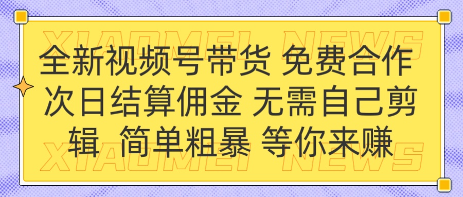 全新视频号 免费合作 佣金次日结算 无需自己剪辑-想要创业网