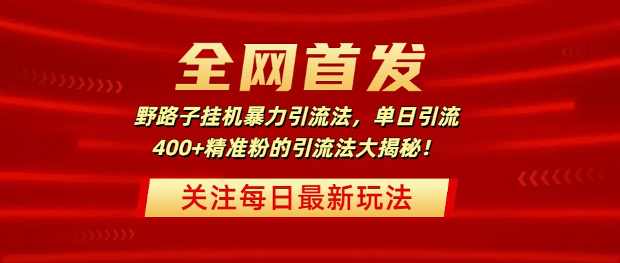 全网首发,野路子挂机暴力引流法,单日引流400+精准粉的引流法大揭秘!-想要创业网