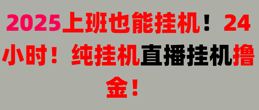 新手也能简单上手！零基础！上班也能挂机！24小时纯挂机！直播挂机撸金！-想要创业网
