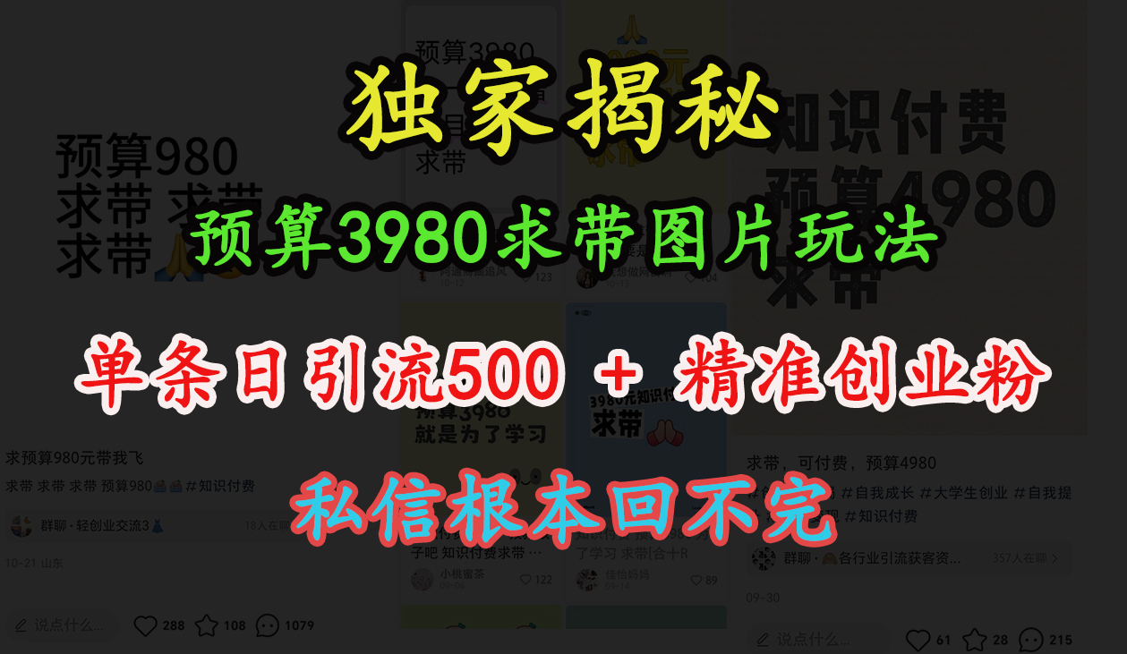 “小红书”预算3980求带 图片玩法，单条日引流500+精准创业粉，私信根本回不完-想要创业网