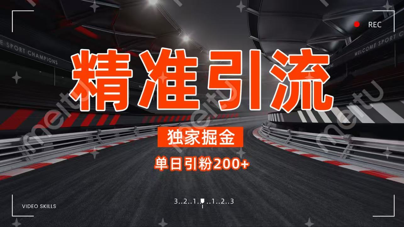 独家野路子精准引流 每日200+-想要创业网