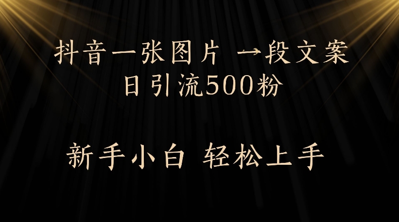 抖音一张图片，一段文案日引流500粉，新手小白 轻松上手-想要创业网