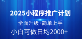 2025小程序推广计划，全面升级，简单上手，日均2000+-想要创业网