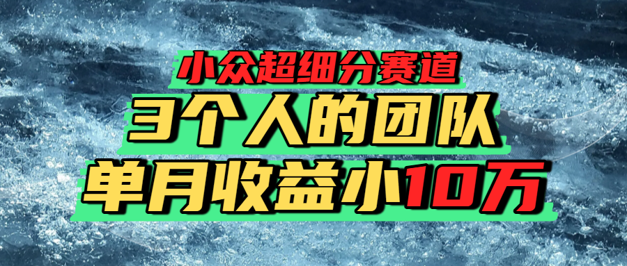 小众超细分赛道，一年百万利润的盘子！-想要创业网