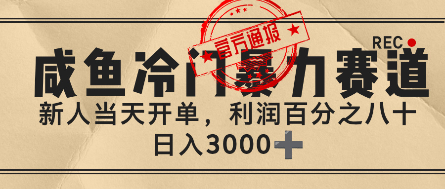 闲鱼，冷门暴力赛道，一单 80%利润，新人轻松日入 3000+-想要创业网