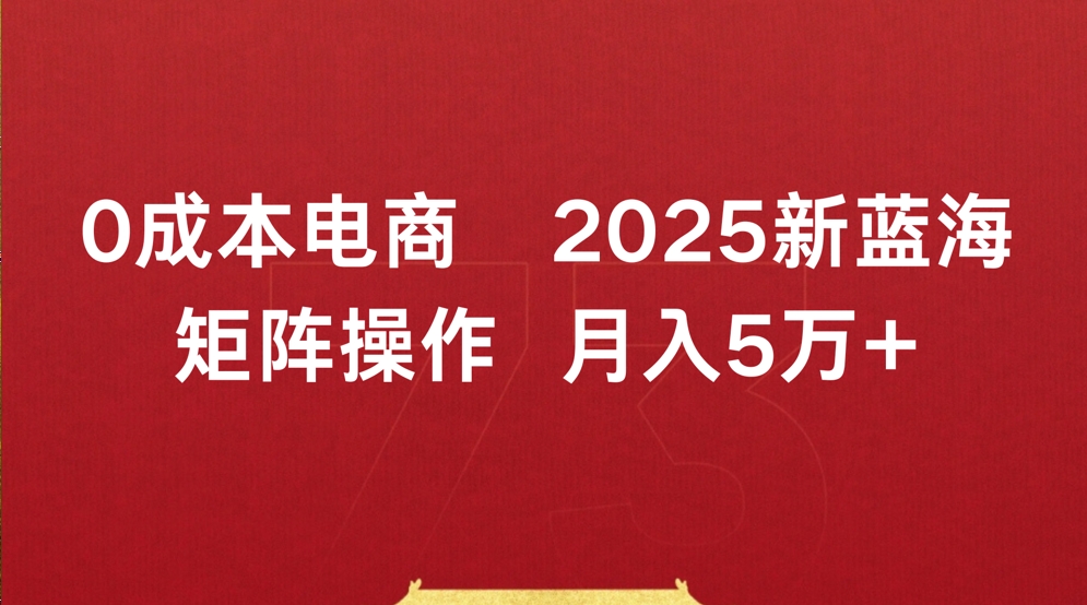 0成本电商2025新蓝海矩阵操作 月入5万+-想要创业网