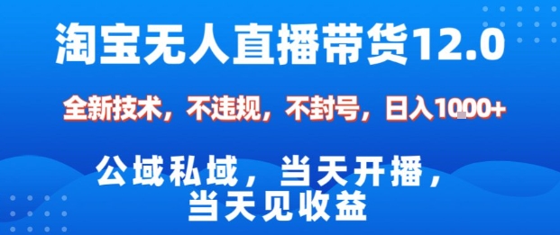 淘宝无人直播12.0，公域私域技术，不封号，不违规布局双十一流量风口，日入1k（独家技术）【揭秘】-想要创业网