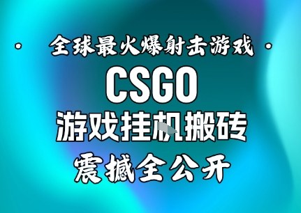 【年底大揭秘】基于全球最火爆的射击CSGO游戏挂G搬砖,日入5张+,震撼公开-想要创业网