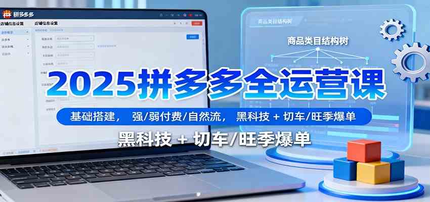 2025拼多多全运营课:基础搭建,强/弱付费/自然流,黑科技 + 切车/旺季爆单-想要创业网