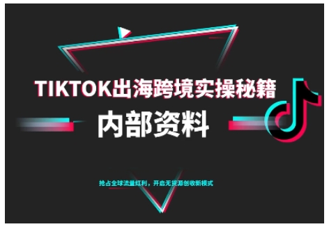 TikTok跨境电商0-1搭建运营,TK出海跨境实操秘籍(10月更新)-想要创业网