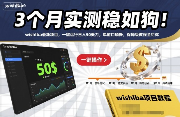 3个月实测稳如狗！wishlba最新项目，一键运行日入50美刀，单窗口躺挣，保姆级教程全给你【揭秘】-想要创业网