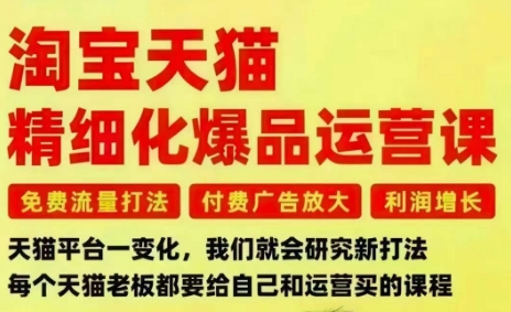 淘宝天猫精细化爆品运营课，免费流量打法-付费广告放大-利润增长-三大核心痛点，一次全部解决-想要创业网