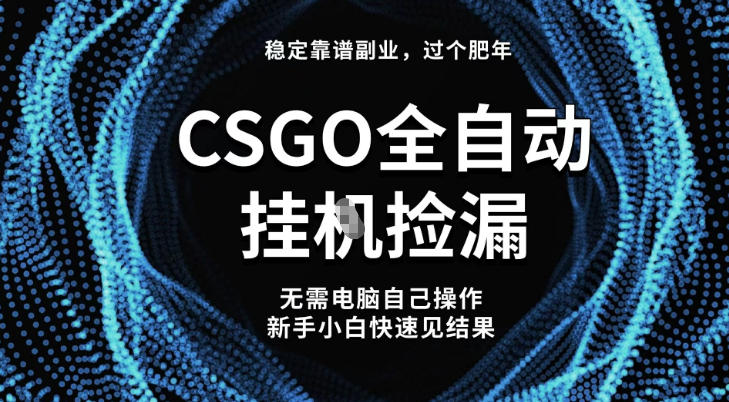 【稳定副业】全球最热门游戏CSGO全自动捡漏，最新玩法，新手小白日入5张+【揭秘】-想要创业网