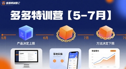 多多特训营，产品决定上限，方法决定下限，各种玩法技巧落地实操（更新）-想要创业网