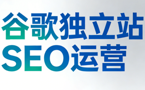 谷歌独立站SEO运营(更新2026)-想要创业