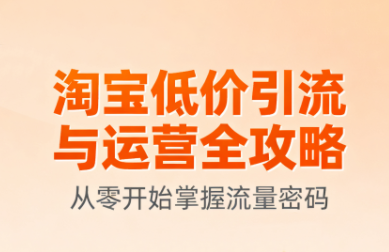 淘宝低价引流与运营全攻略(更新9月)-想要创业