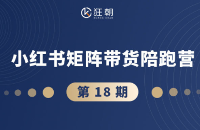 盗坤·抖音小红书视频号短视频带货与直播变现(11-18期)-想要创业