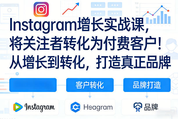 Instagram增长实战课，将关注者转化为付费客户！从增长到转化，打造真正品牌(双语字幕)-想要创业
