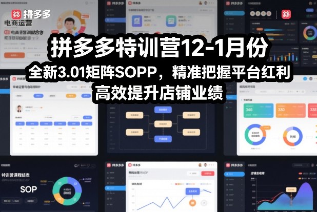 拼多多特训营12-1月份，全新3.01矩阵Sop，精准把握平台红利，高效提升店铺业绩-想要创业