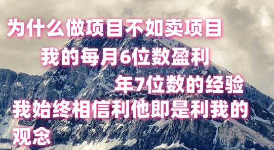 做项目不如卖项目，每月6位数盈利，年7位数经验-想要创业
