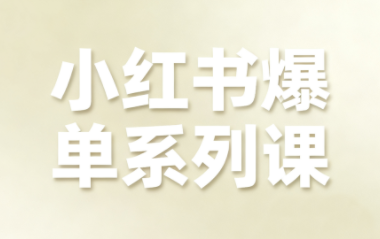 尼采老师·小红书爆单系列课-想要创业