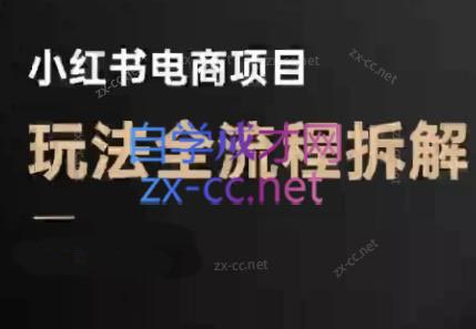 菲菲老师·小红书电商玩法(更新9月)-想要创业