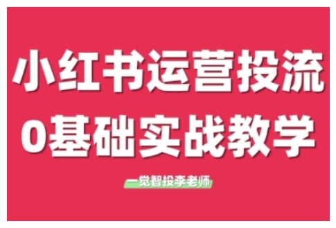 小红书运营投流,小红书广告投放从0到1的实战课,学完即可开始投放(更新26年)-想要创业