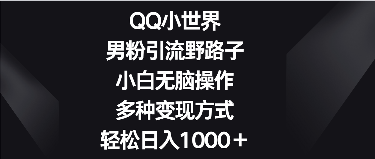 QQ小世界男粉引流野路子，小白无脑操作，多种变现方式轻松日入1000＋-想要创业