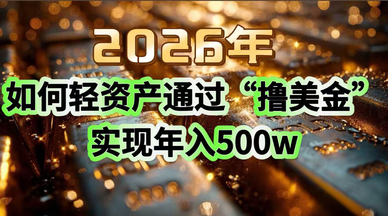 2026年如何轻资产通过“撸美金”实现年入500w-想要创业
