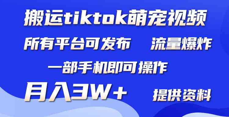 (9618期)搬运Tiktok萌宠类视频,一部手机即可。所有短视频平台均可操作,月入3W+-想要创业