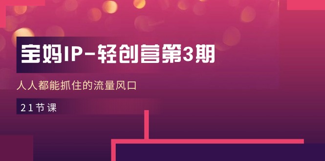 宝妈IP轻创营第3期，人人都能抓住的流量风口（21节课）-想要创业