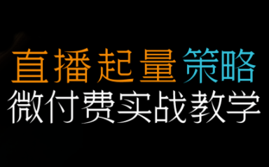 半野老师·直播带货起量与微付费必学课视频号(更新2026)-想要创业