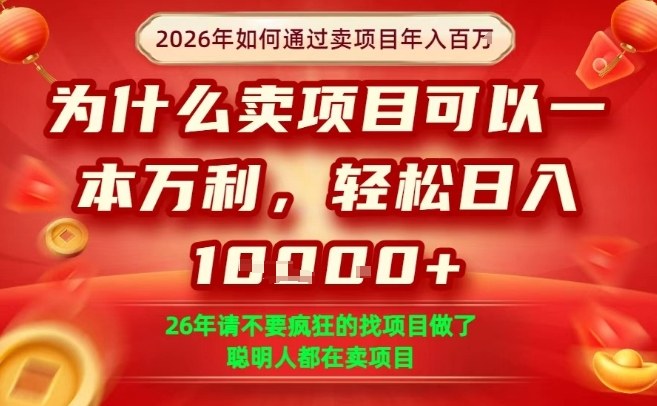 一单净利润1K+，26年想年入100个W，死磕卖项目就够了【揭秘】-想要创业