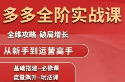 大炮·拼多多全阶实战课程(更新2026)-想要创业