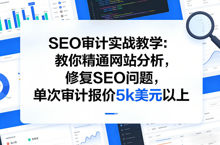 SEO审计实战教学：教你精通网站分析，修复SEO问题，单次审计报价5k美元以上-想要创业