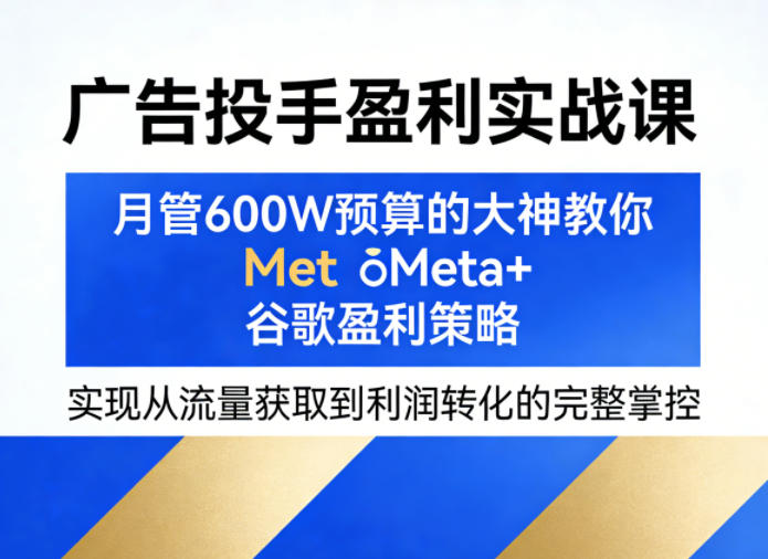 广告投手盈利实战课，月管600W预算的大神教你Meta+谷歌盈利策略，实现从流量获取到利润转化的完整掌控-想要创业