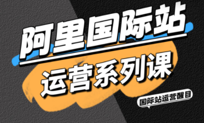 醒目老师·阿里国际站运营系列课(更新3月)-想要创业