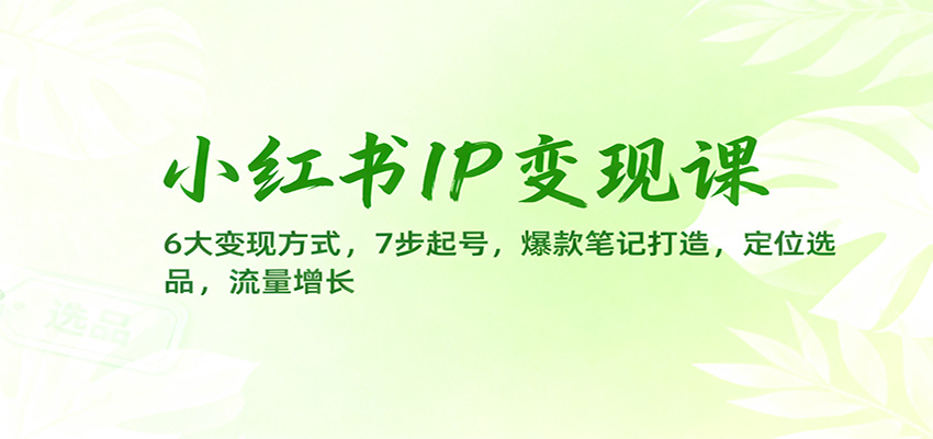小红书IP变现课：6大变现方式，7步起号，爆款笔记打造，定位选品，流量增长-想要创业