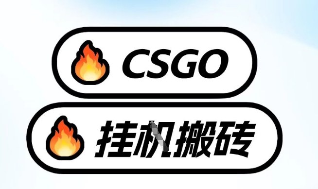真全网独家CSGO挂G，最新玩法,单日捡漏1K+，不用电脑，不用打游戏【揭秘】-想要创业