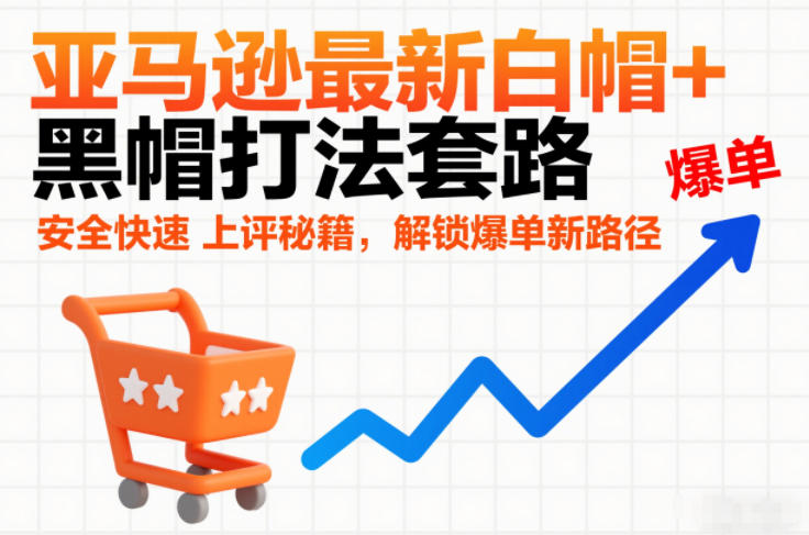 亚马逊最新白帽+黑帽打法套路，安全快速上评秘籍，解锁爆单新路径-想要创业