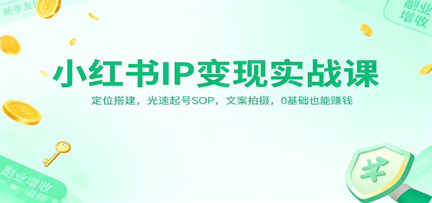 小红书IP变现实战课：定位搭建，光速起号SOP，文案拍摄，0基础也能赚钱-想要创业