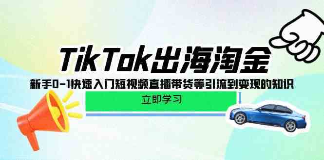 TikTok出海淘金，新手0-1快速入门短视频直播带货等引流到变现的知识-想要创业